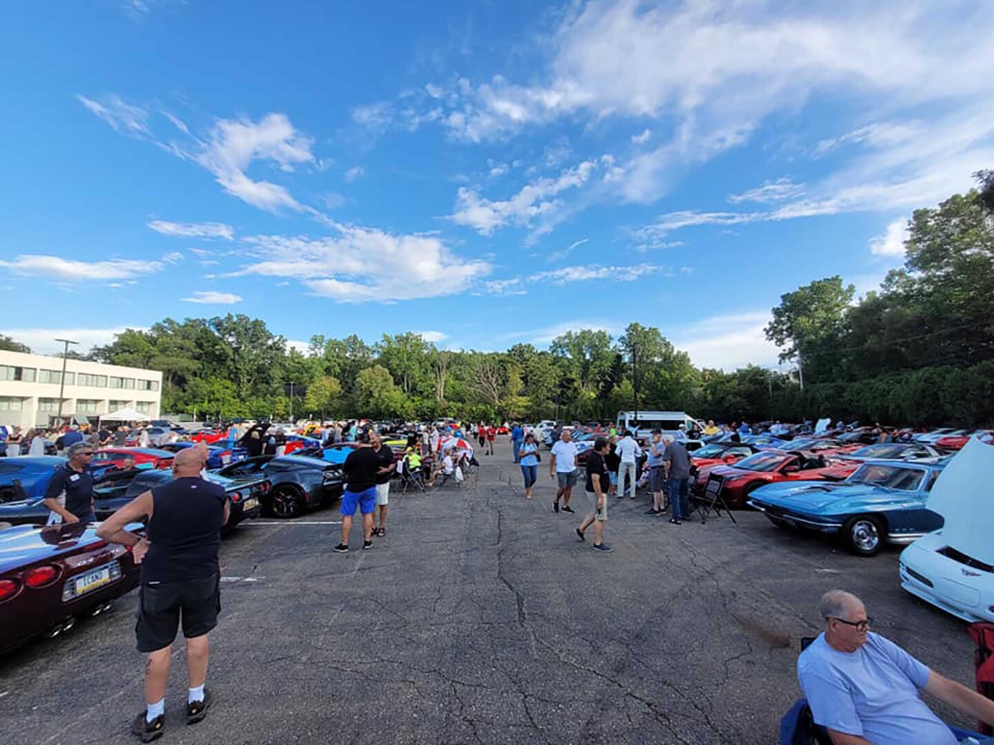 Corvettes on Woodward event