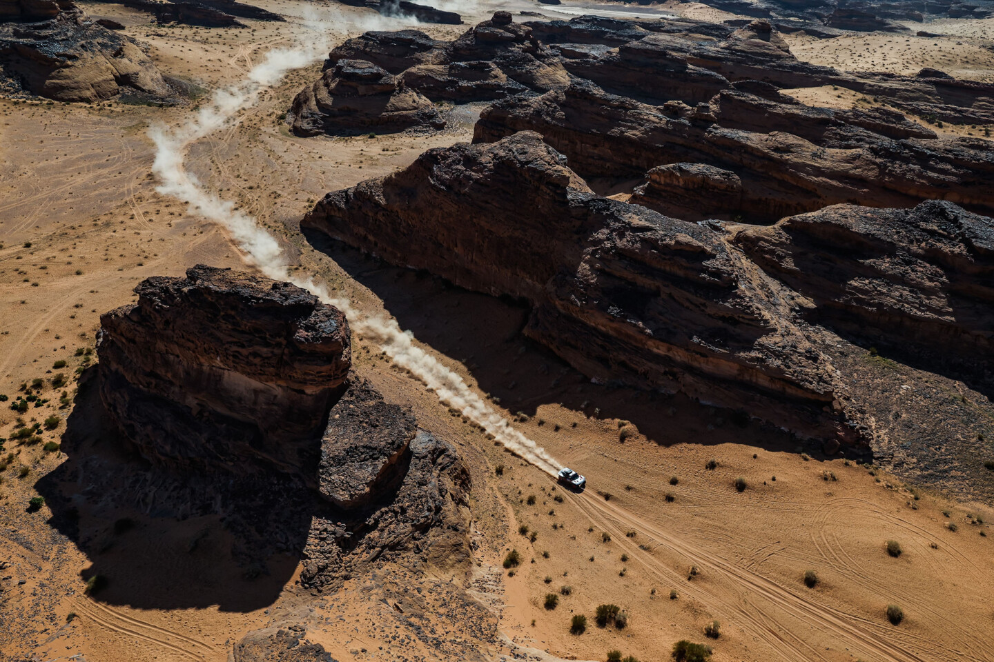 The Roller Coaster That Was The 2024 Dakar Rally: Race Recap