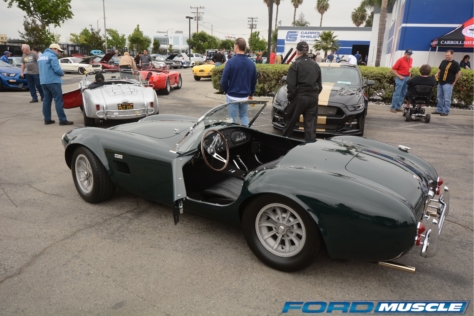 a-gathering-of-snakes-and-more-at-the-carroll-shelby-tribute-show-2018-05-26_03-13-34_695257