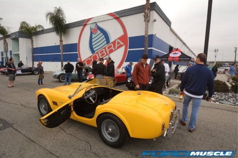 a-gathering-of-snakes-and-more-at-the-carroll-shelby-tribute-show-2018-05-26_03-14-08_850519