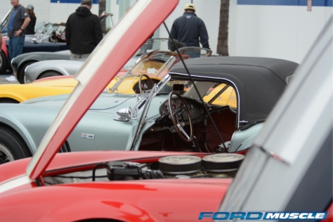 a-gathering-of-snakes-and-more-at-the-carroll-shelby-tribute-show-2018-05-26_03-16-06_796673