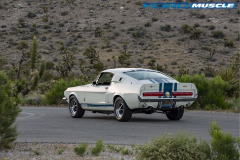 shelby-reboots-the-1967-shelby-gt500-super-snake-series-2-roadster-2018-05-17_14-44-00_979905