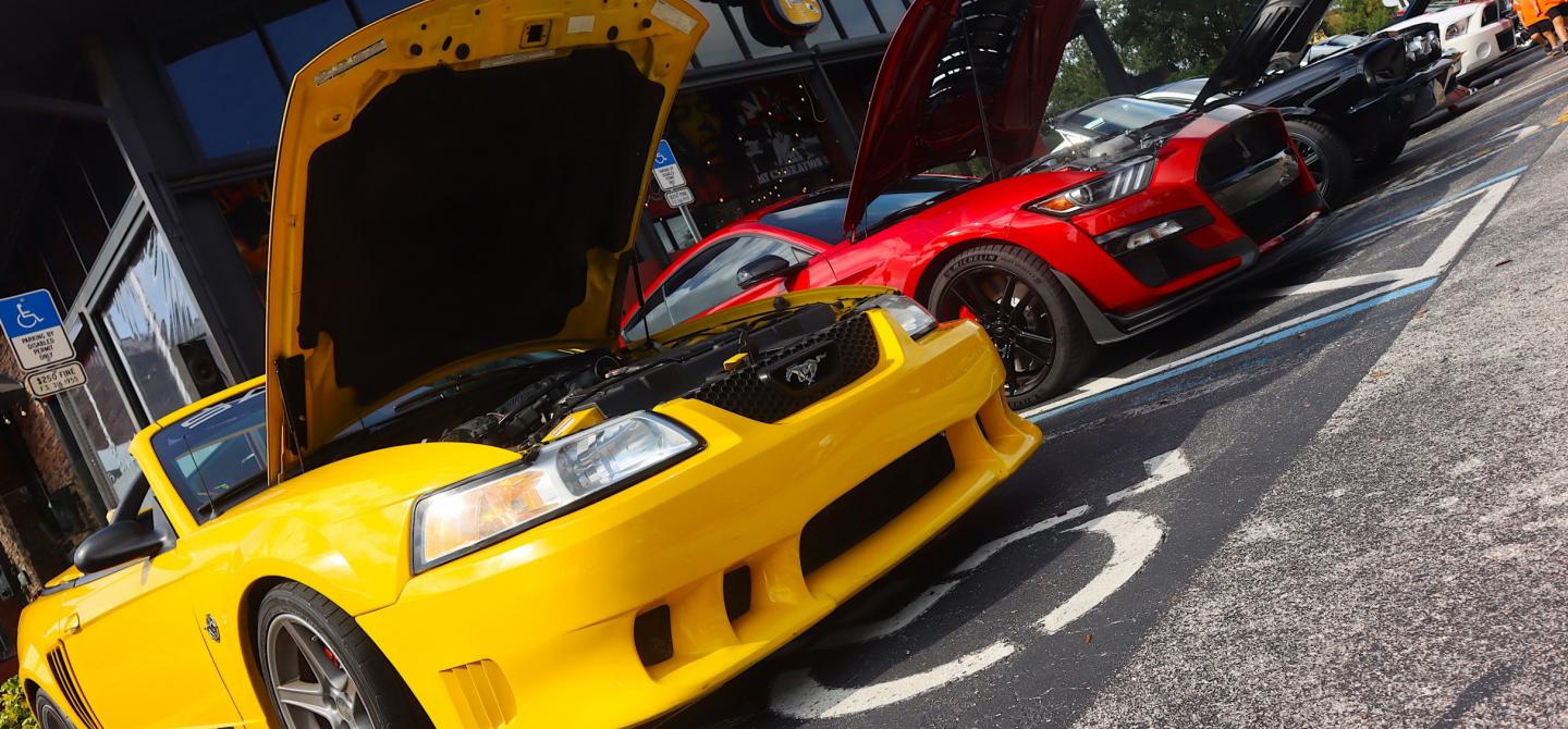 Five Magnificent Mustangs From The Mid-Florida HOPE Charity Car Show