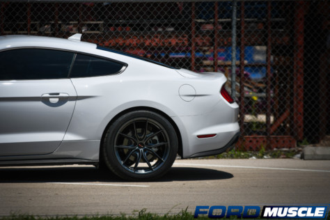 forgeline-f01-wheels-flow-into-fathers-day-surprise-form-2022-06-27_07-38-17_722519