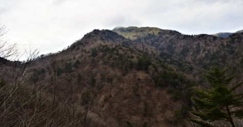 super-rindo-4-days-exploring-japans-longest-public-4x4-trail-2022-06-16_20-34-46_736411